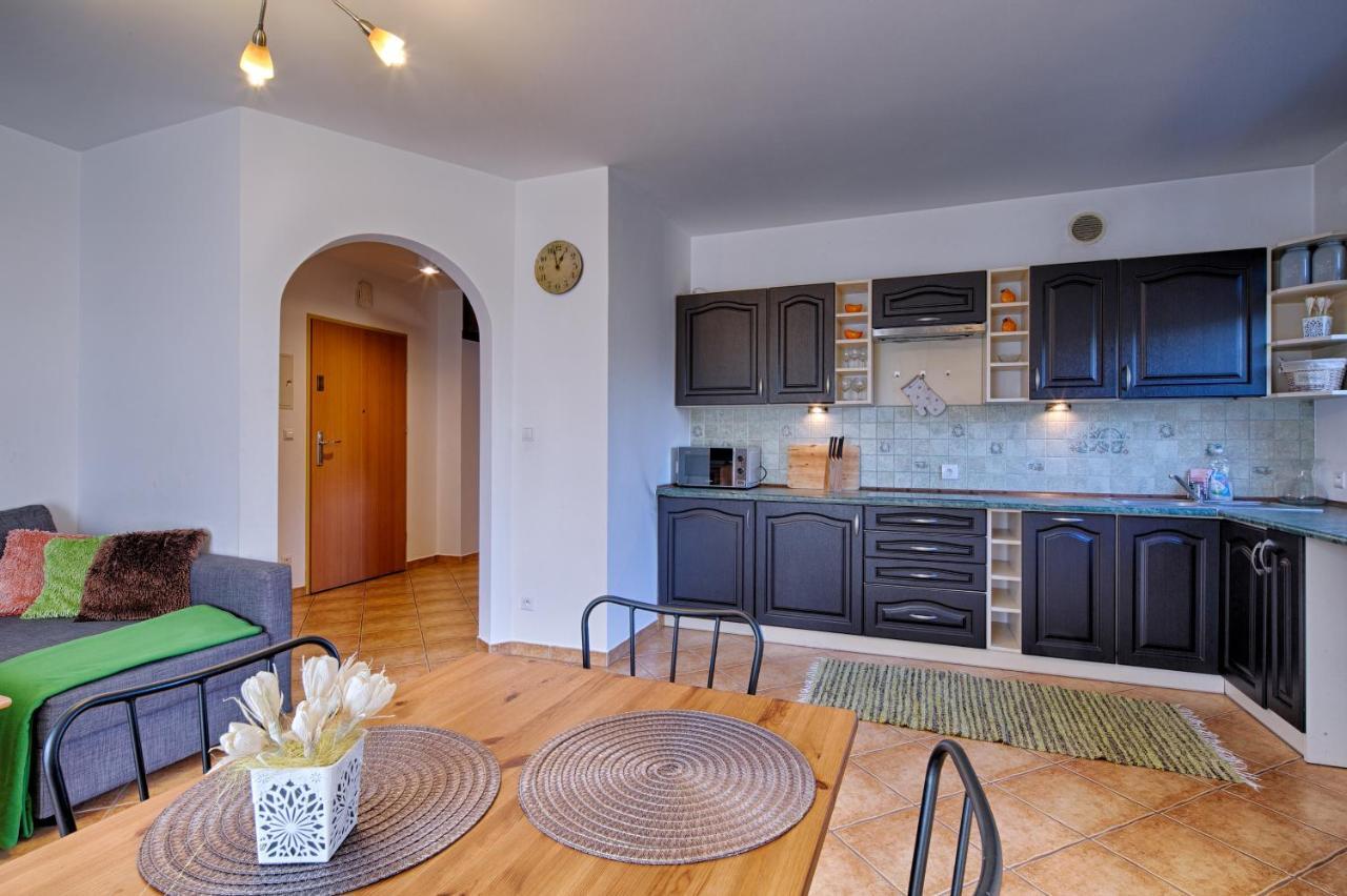 Apartament Rodzinny Komfortowy ザコパネ エクステリア 写真